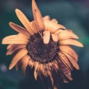 How Break Ups Can Fuel Your Life & Career