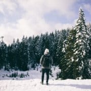 When Making Decisions |What Guides You|Your Head, Your Heart Or Other People?