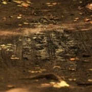 Are You Embracing the Mud?