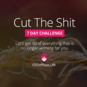 Ready To Cut The Shit? | Life Coaching Challenge