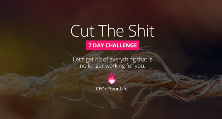 Ready To Cut The Shit? | Life Coaching Challenge