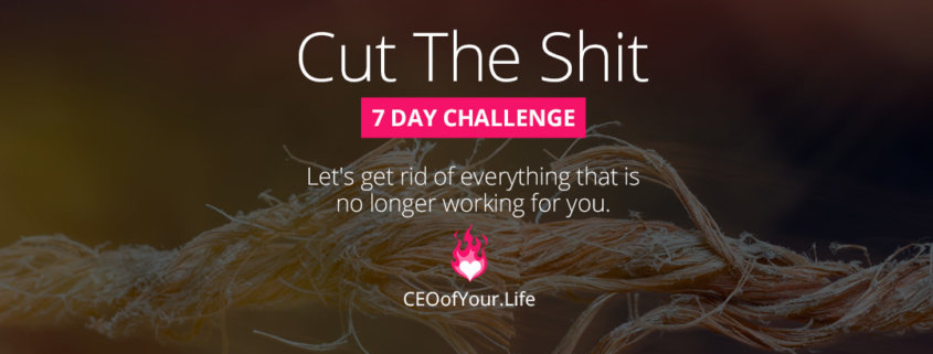 Ready To Cut The Shit? | Life Coaching Challenge