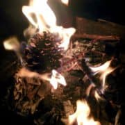 Pine Cone on fire