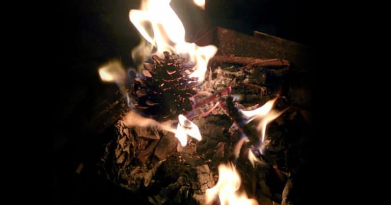 Pine Cone on fire