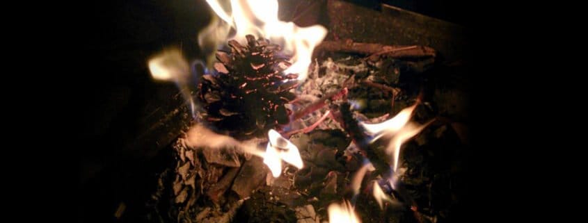Pine Cone on fire