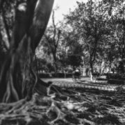 Melissa meditating on a tree in barcelona