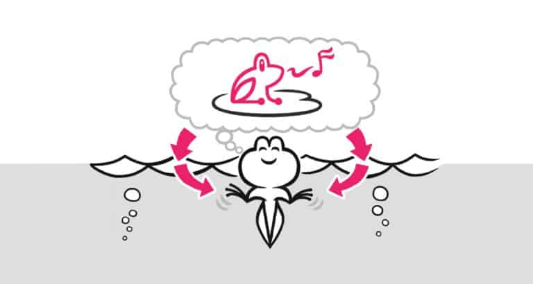 How to Reprogram Your Thoughts