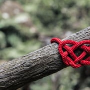 heart-based leadership