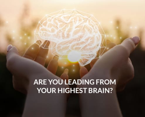 Are You Leading From Your Highest Brain?