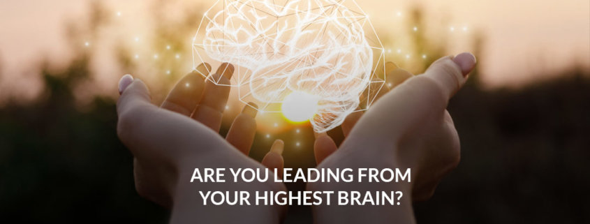 Are You Leading From Your Highest Brain?