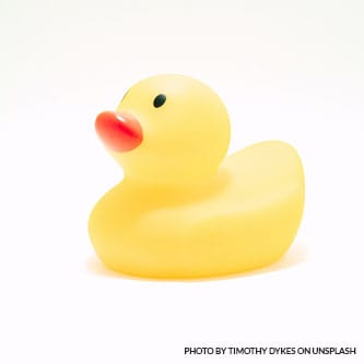 rubber duckling