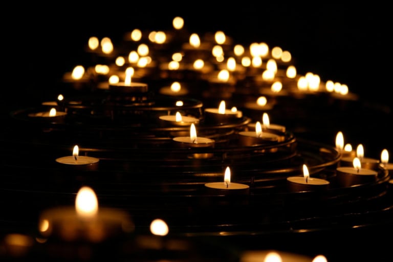 Grieving the Loss of a Pet