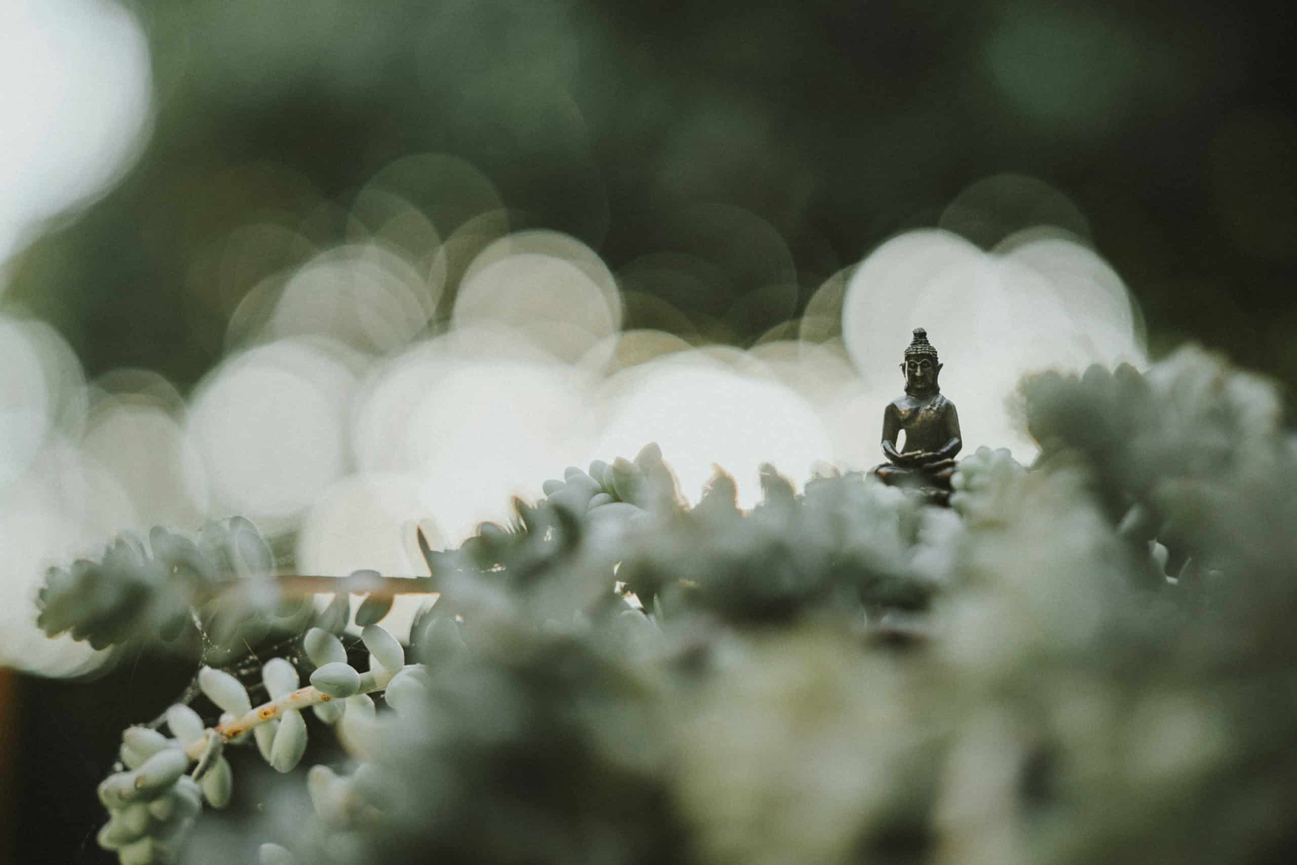 A Beginner’s Mind Can Take You Further Than You Know